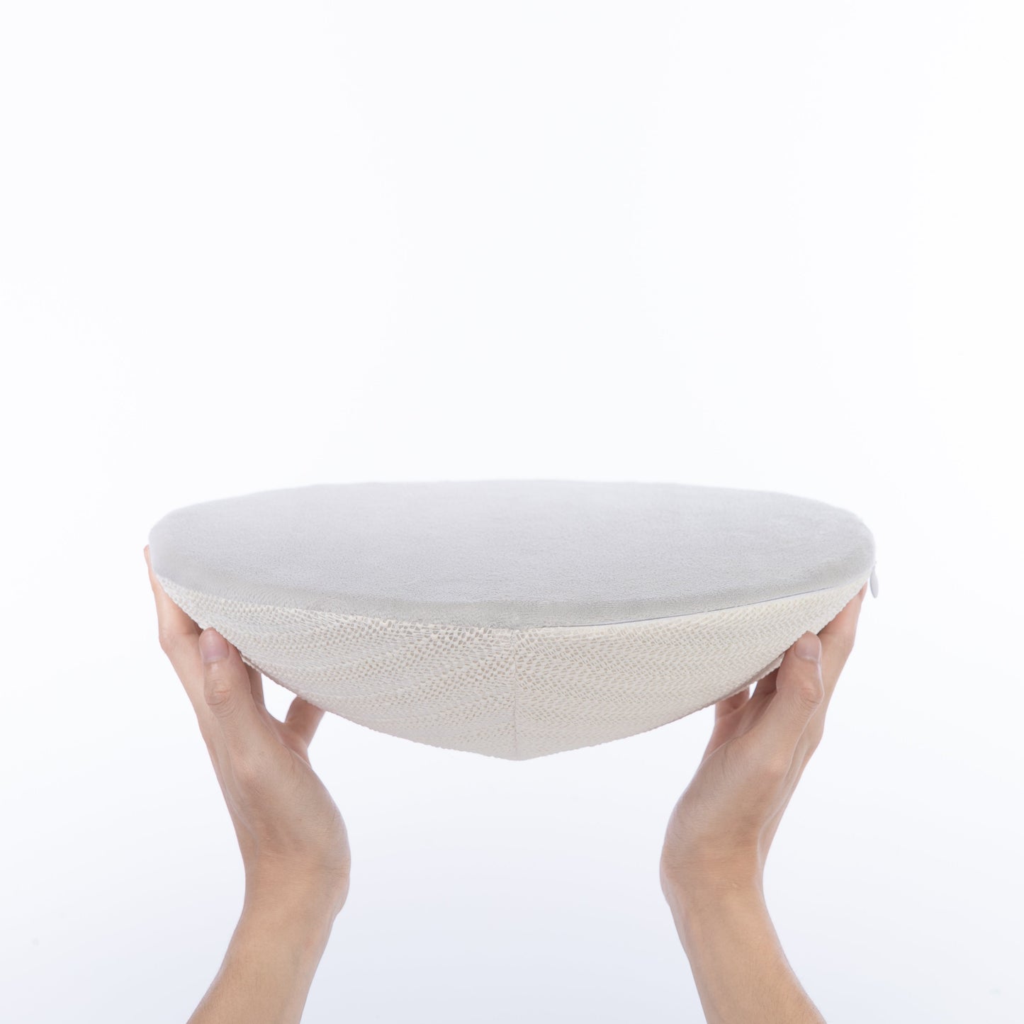 Cats Moving Castle Carrier