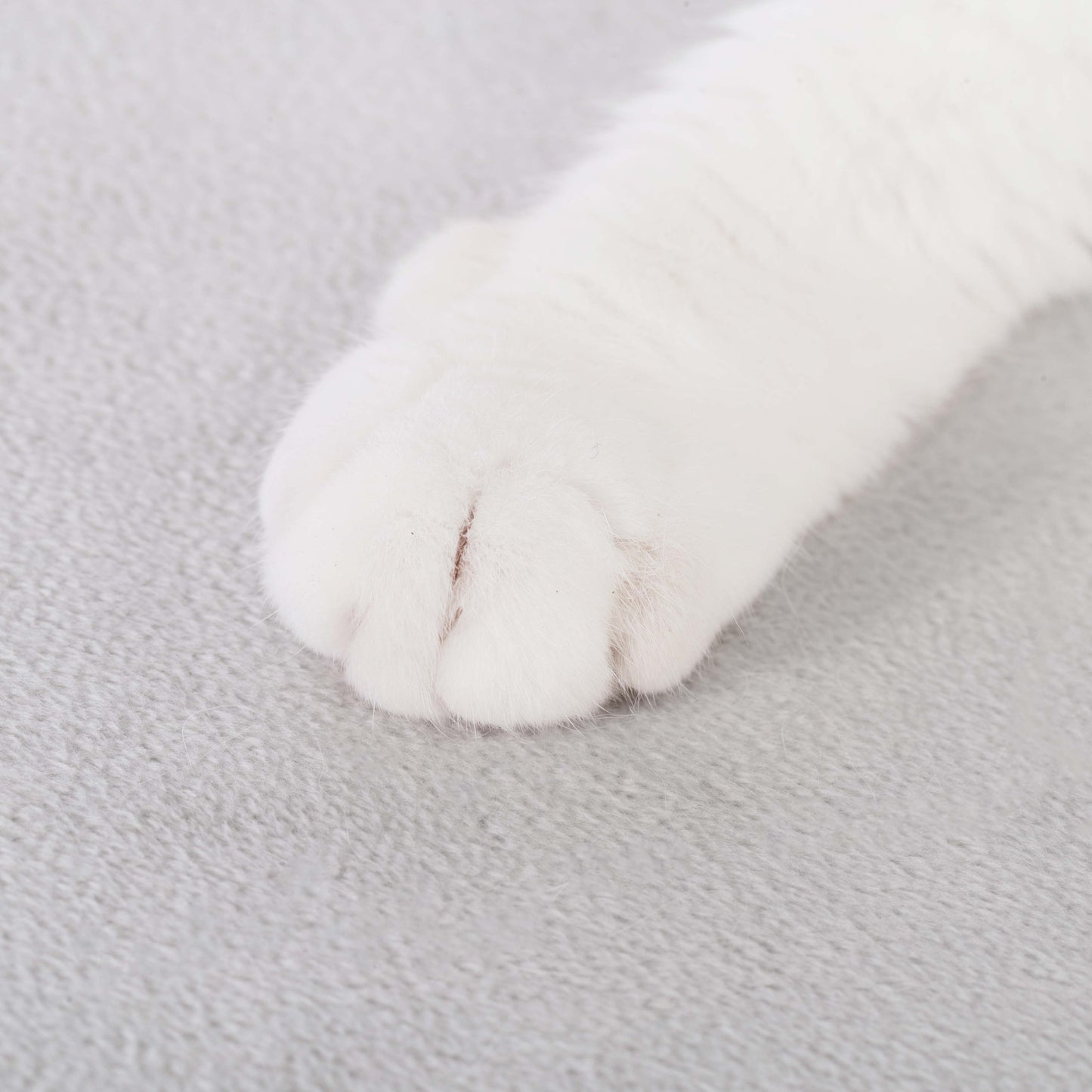 Cats Moving Castle Carrier