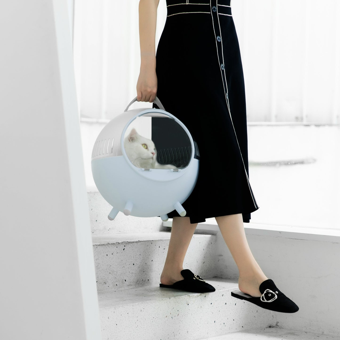 Cats Moving Castle Carrier