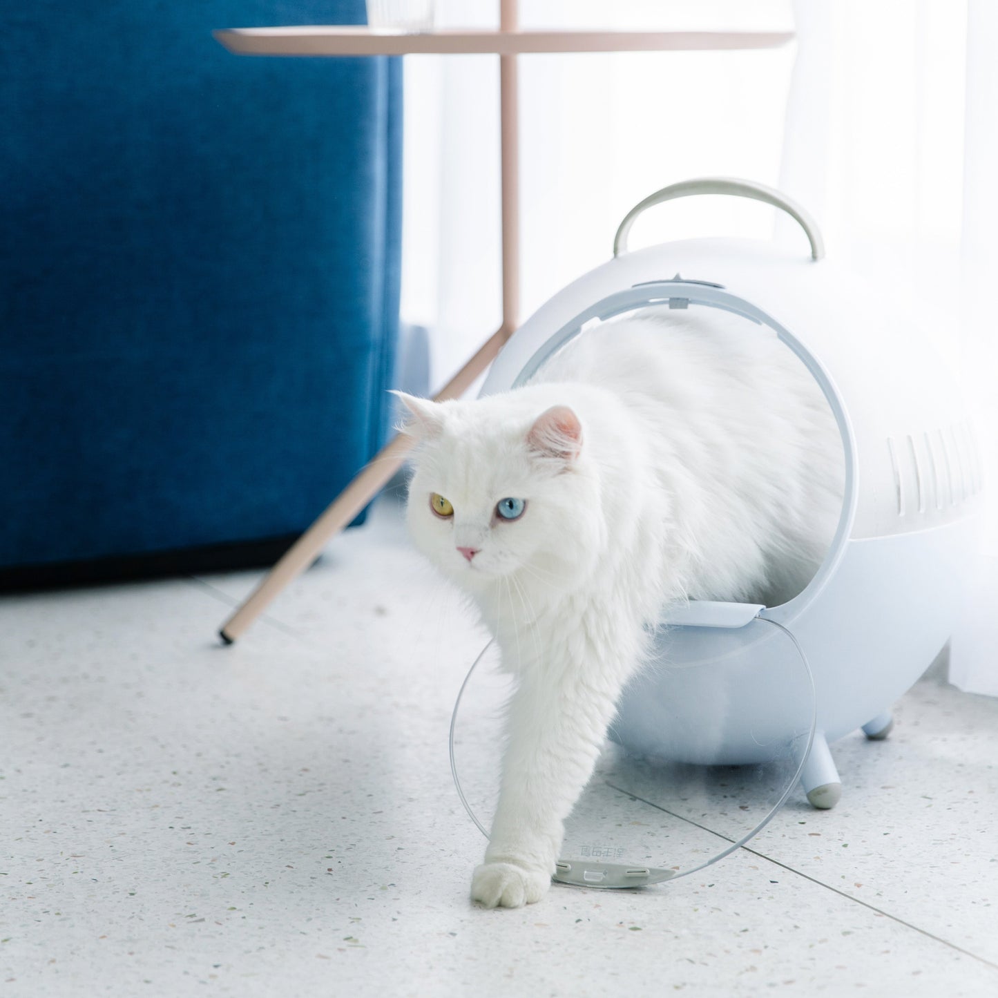 Cats Moving Castle Carrier