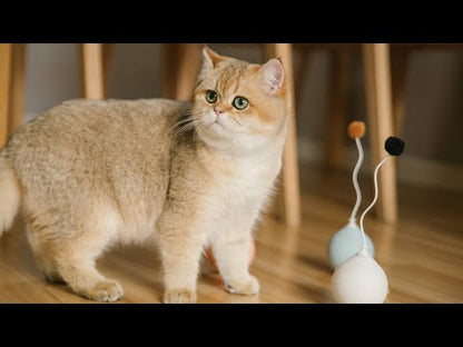 Automatic Balloon Cat Toy