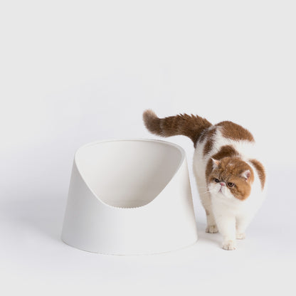 Cat Open Litter Box