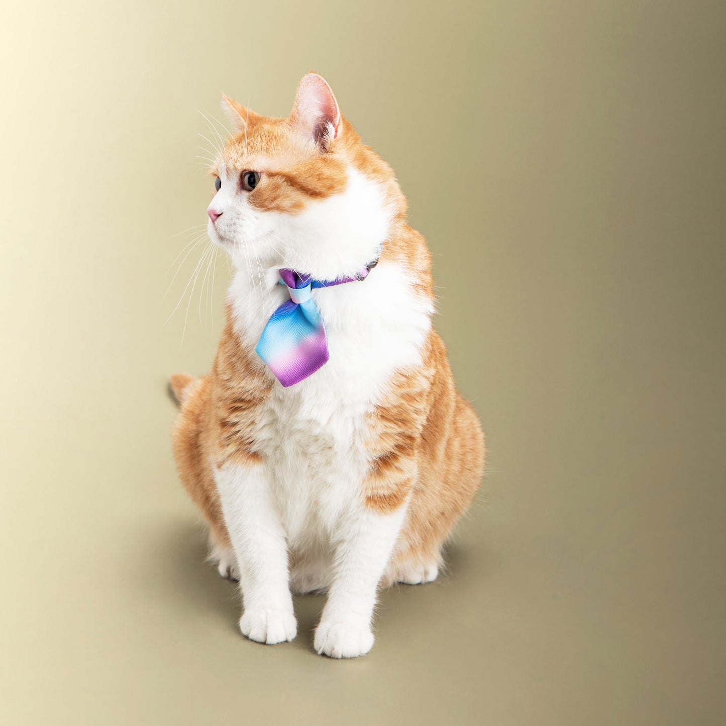 Cat Necktie