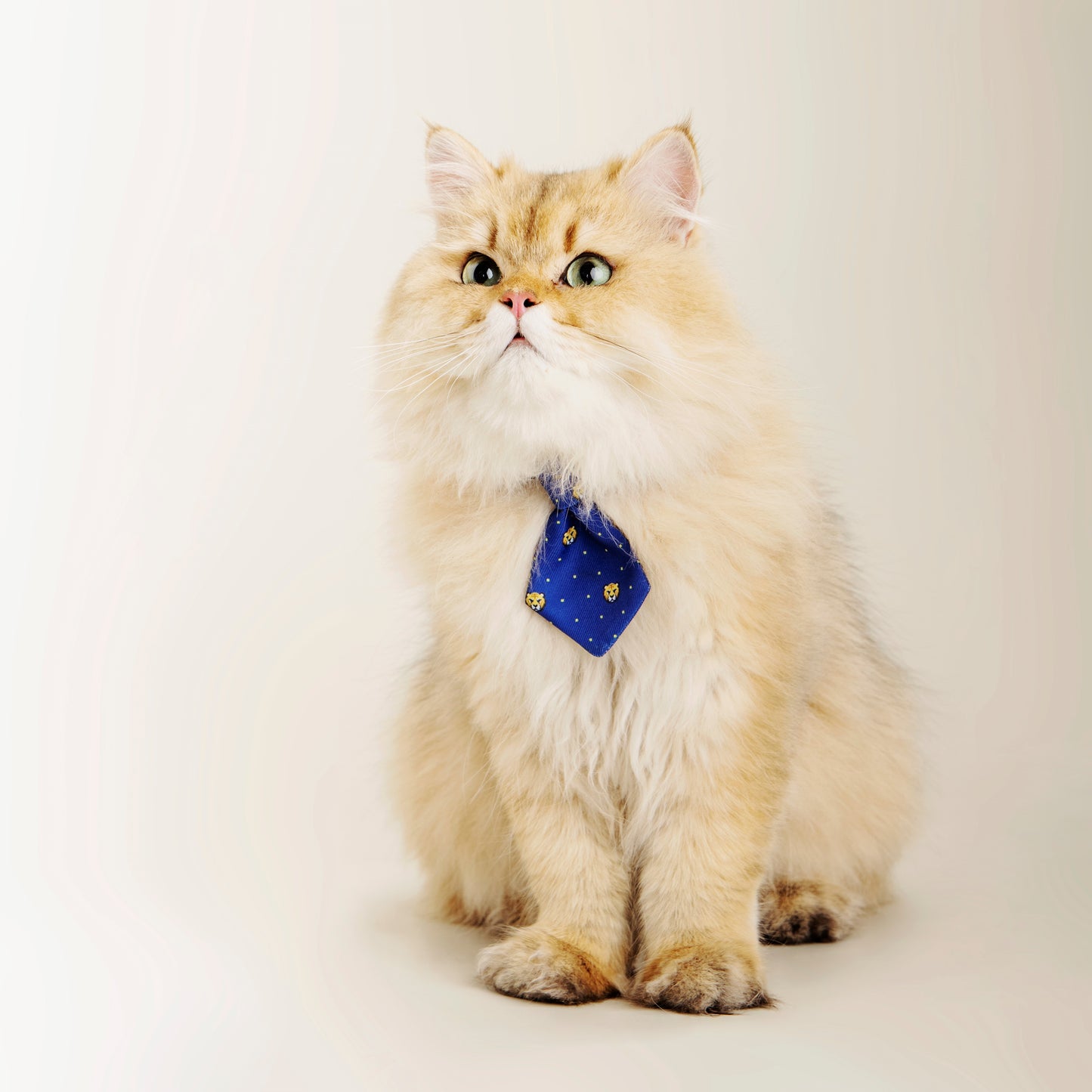 Cat Necktie