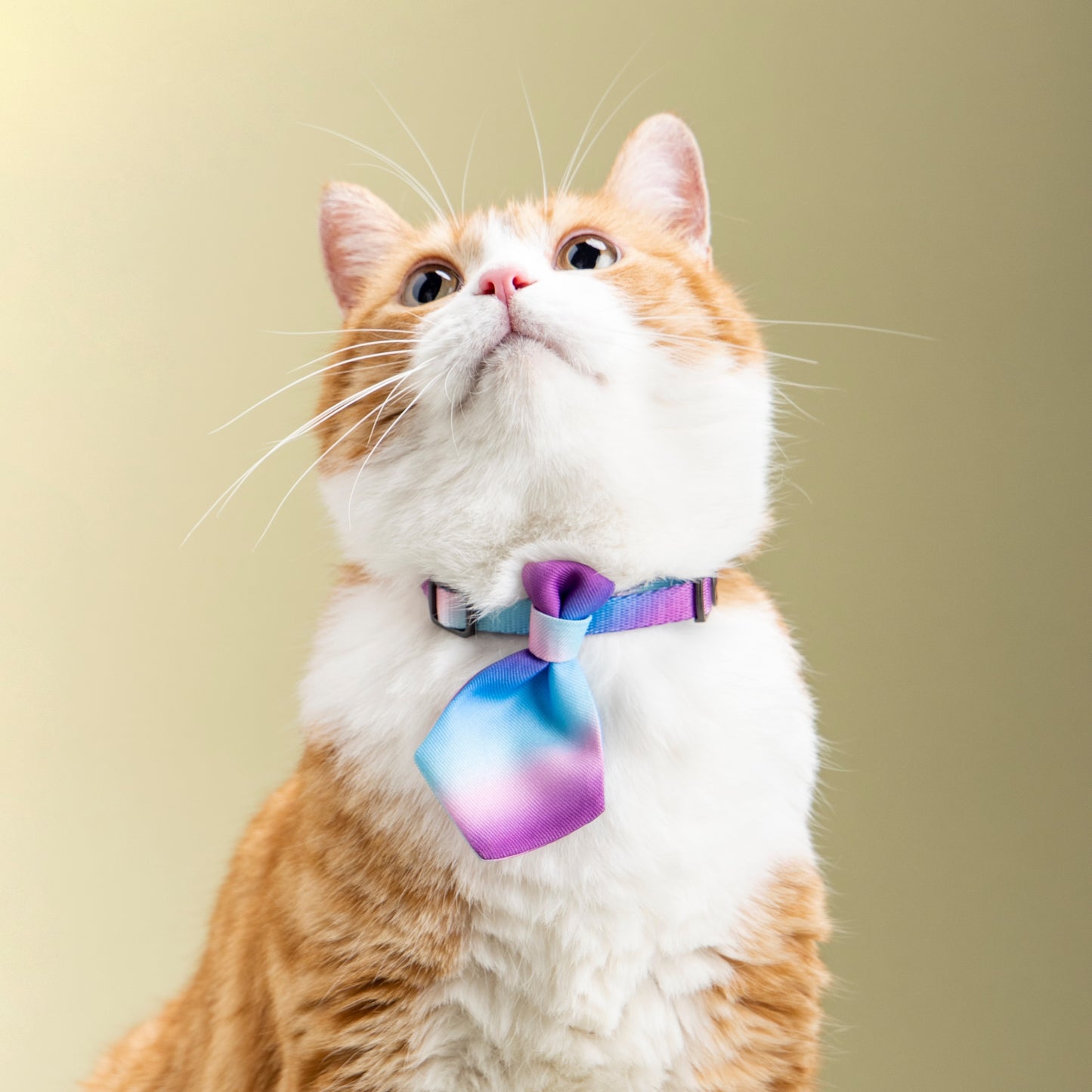 Cat Necktie