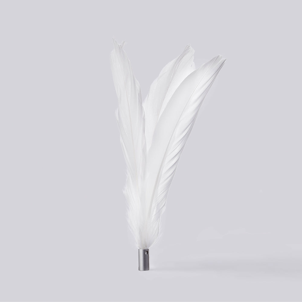 Cat Feather Toy