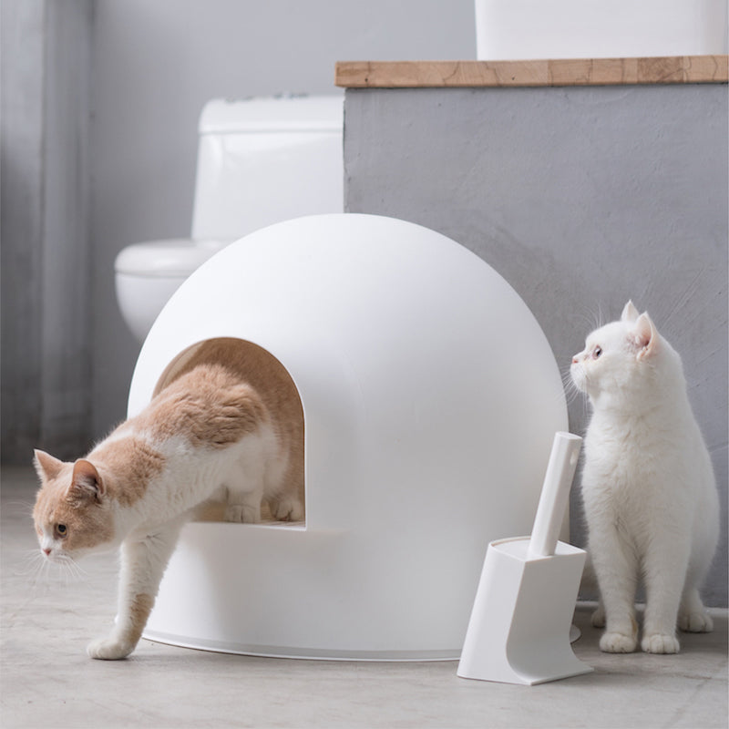 Igloo snow cat outlet litter