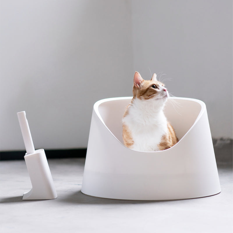 Open Cat Litter Box