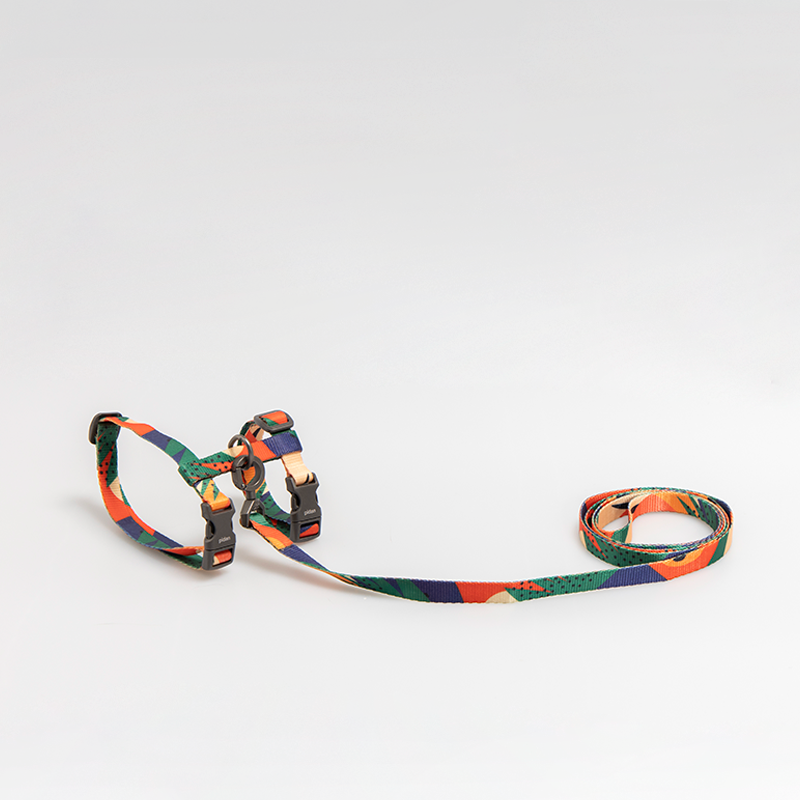 Cat Harness & Leash Set