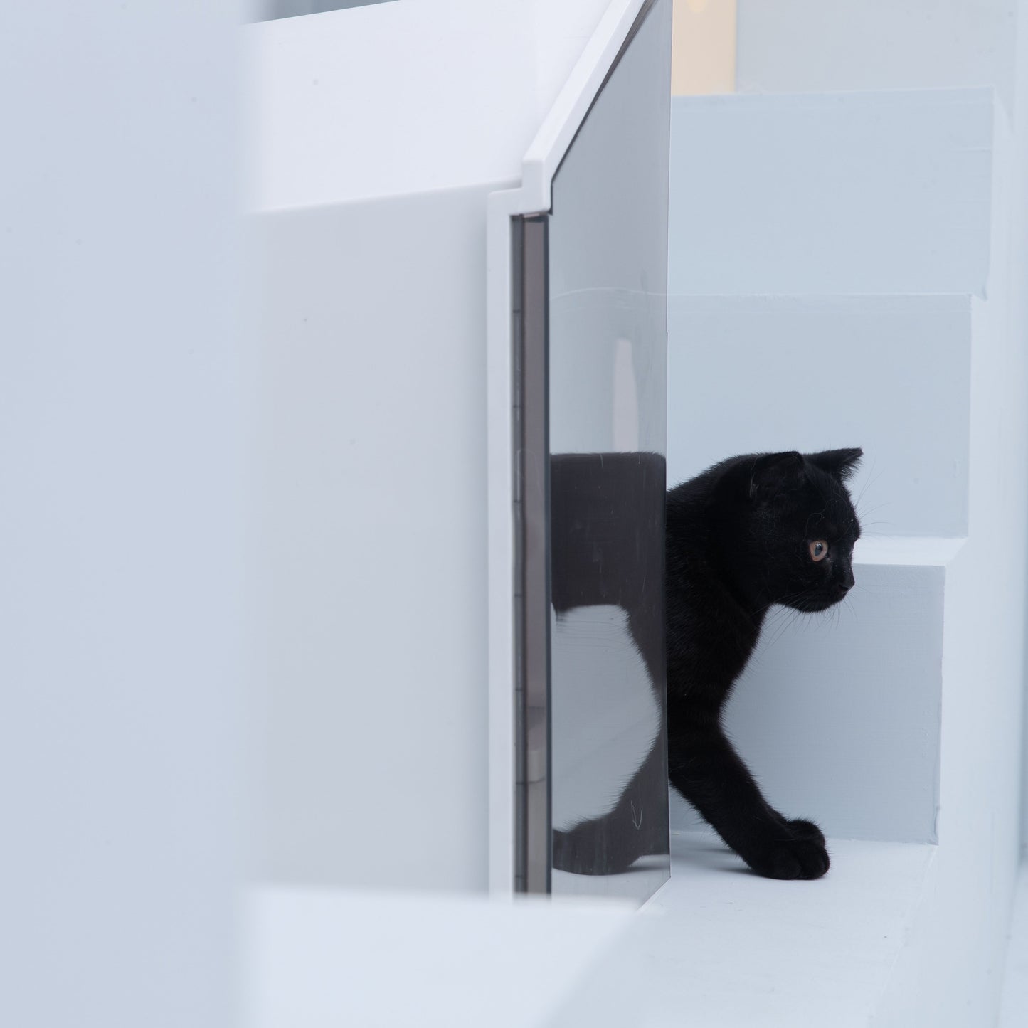 Glow House Cat Litter Box