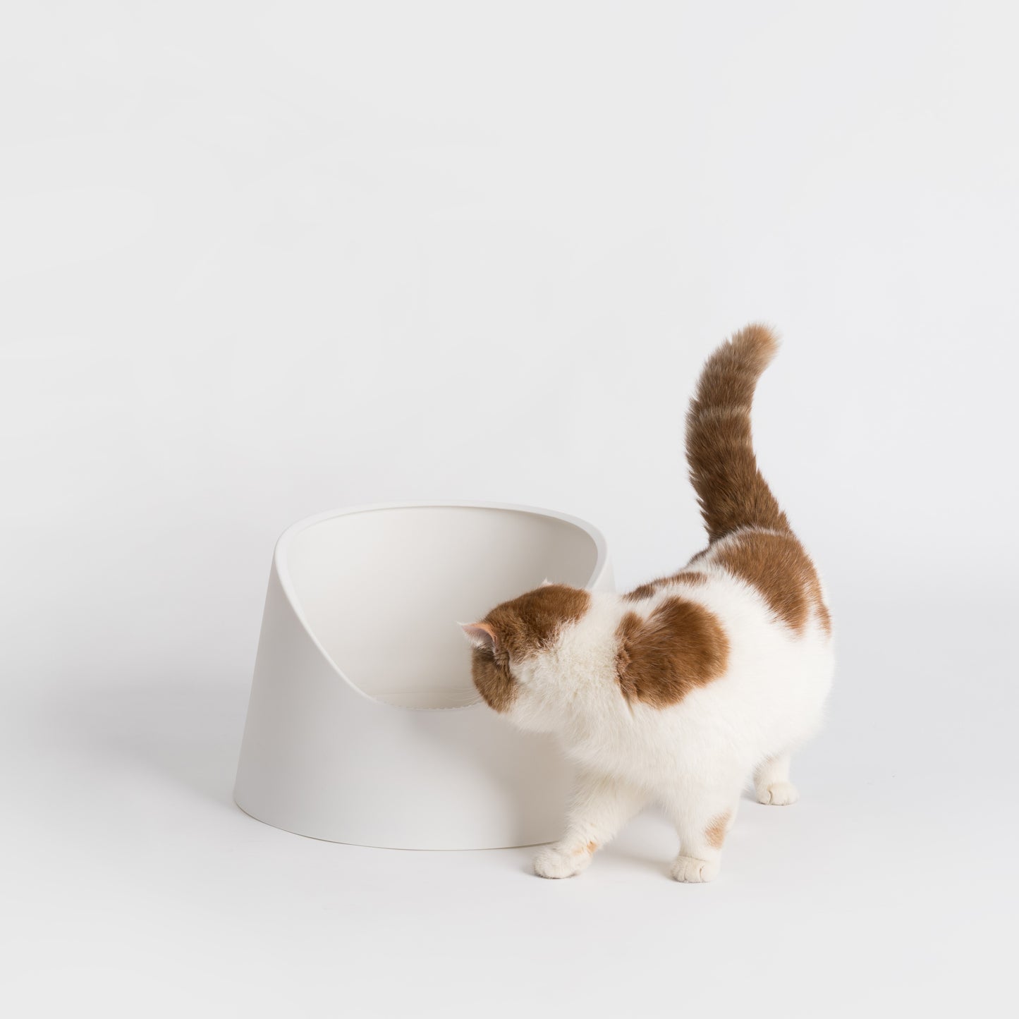 Open Cat Litter Box