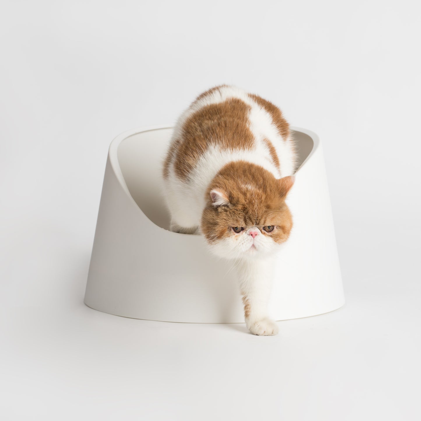 Open Cat Litter Box