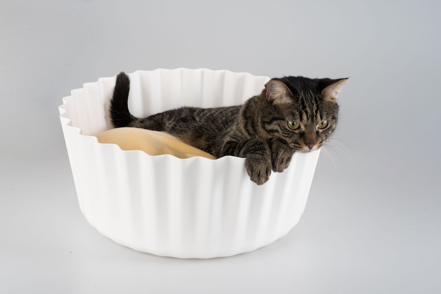 Cupcake cat bed