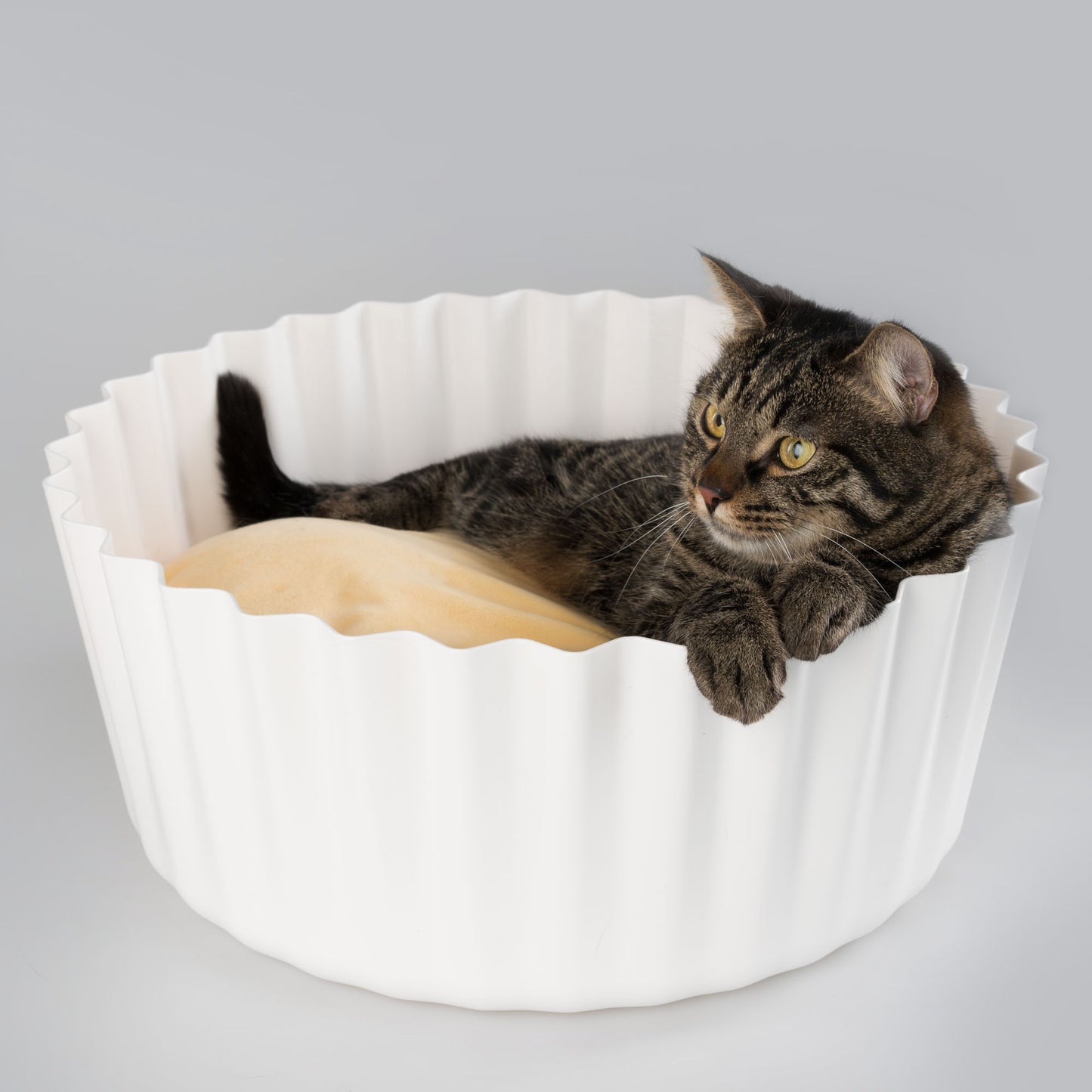 Cupcake cat bed