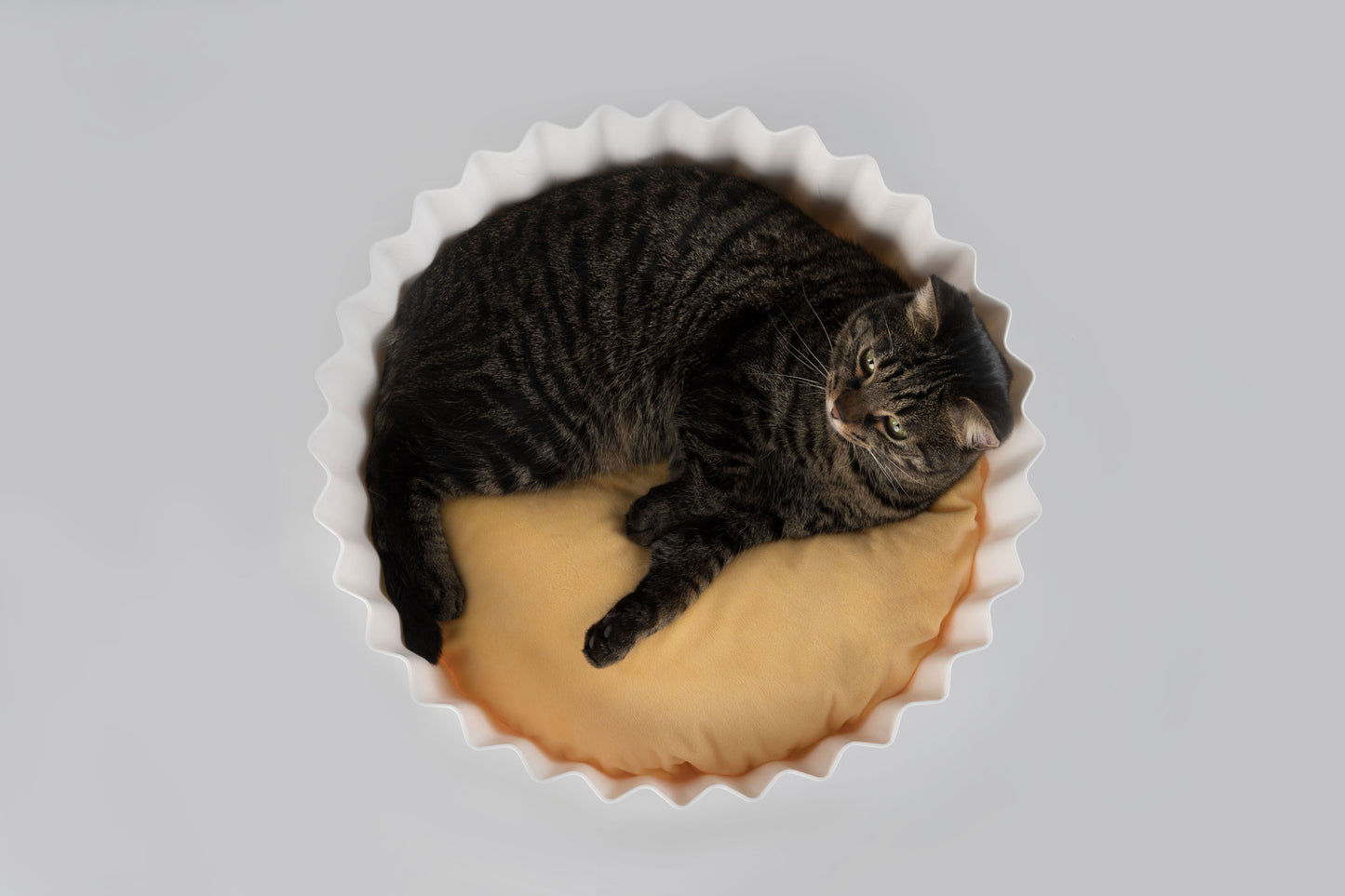 Cupcake cat bed
