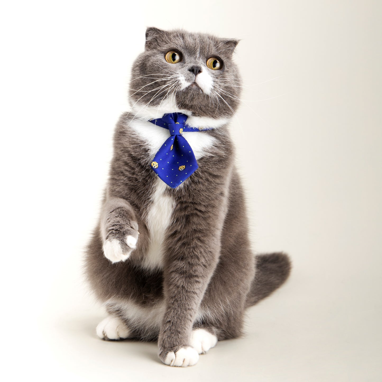 Cat Necktie