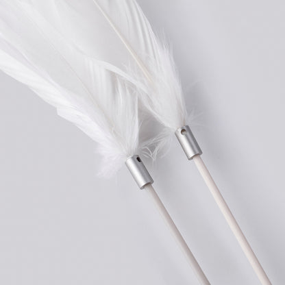Cat Feather Toy
