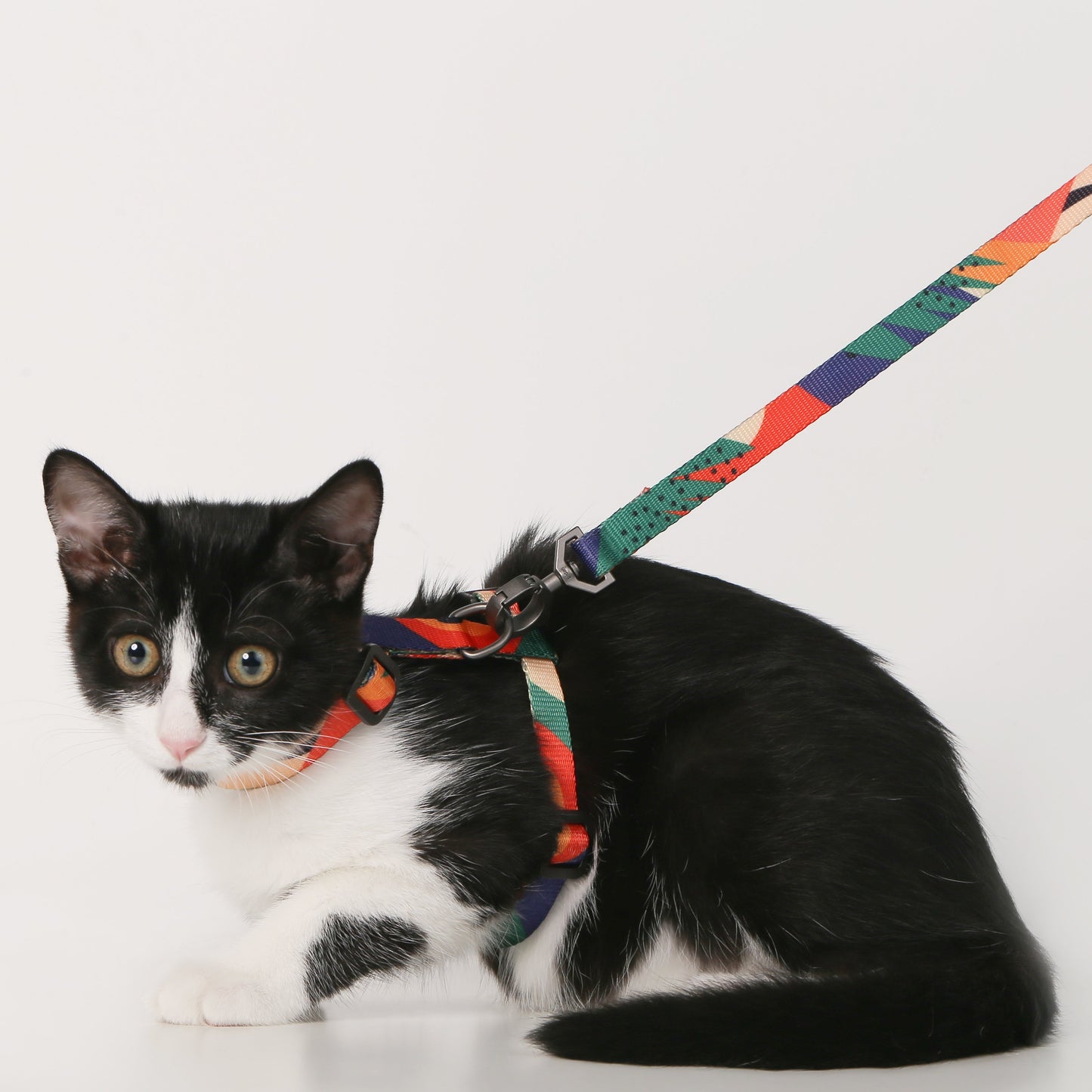 Cat Harness & Leash Set