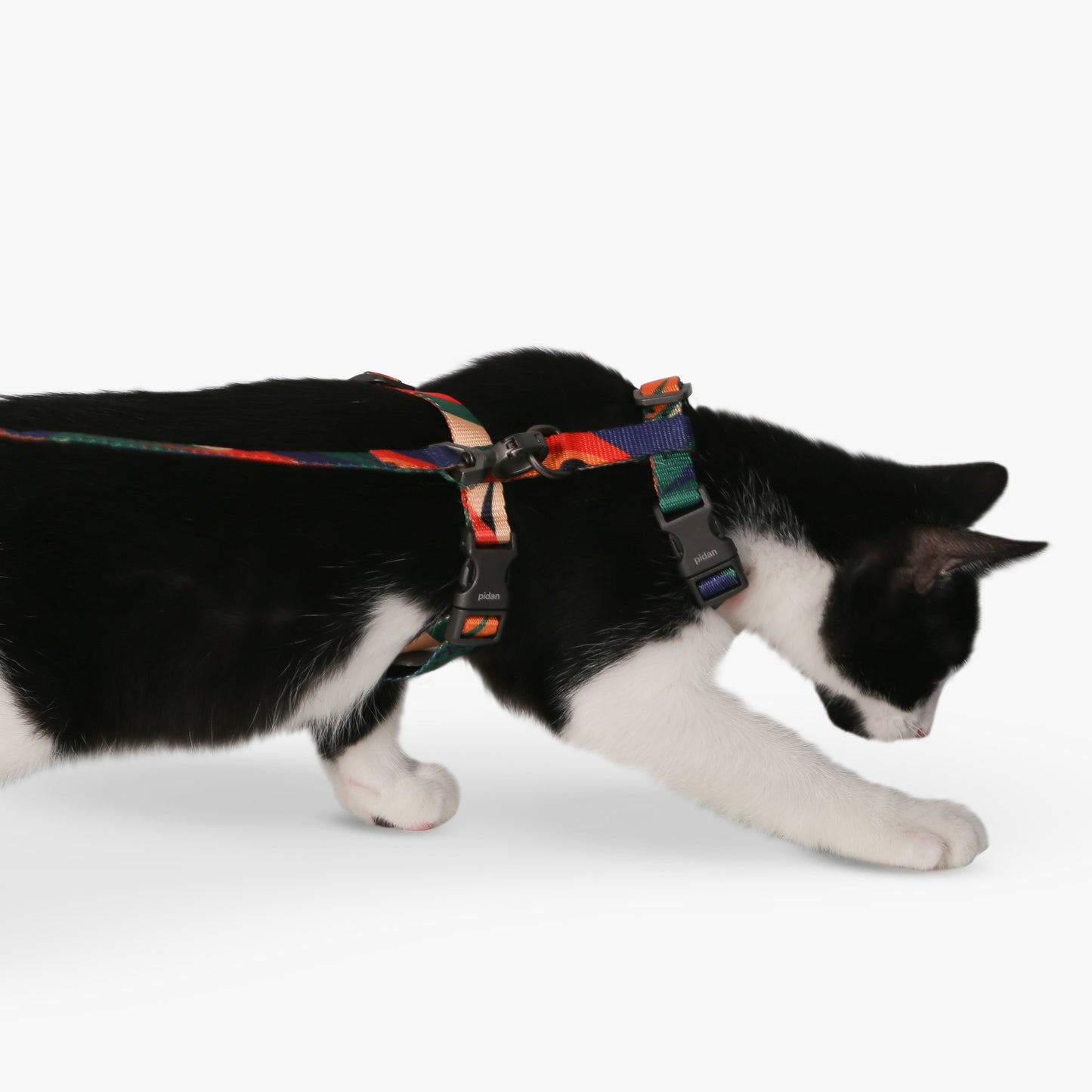 Cat Harness & Leash Set
