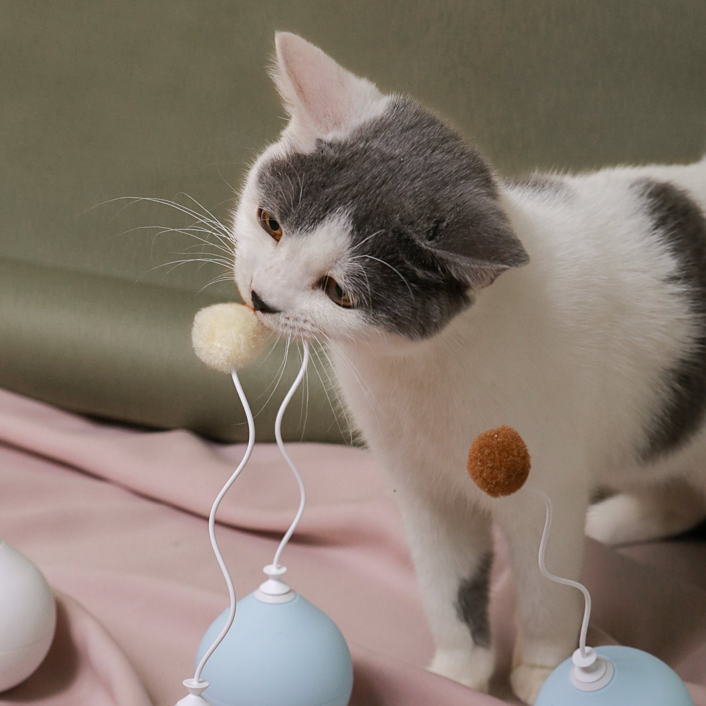 Automatic Balloon Cat Toy